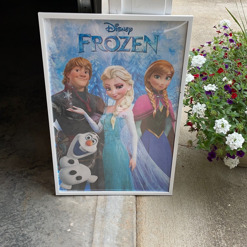 Custom framed frozen poster.